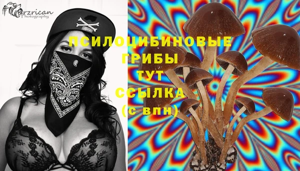 тгк Арсеньев
