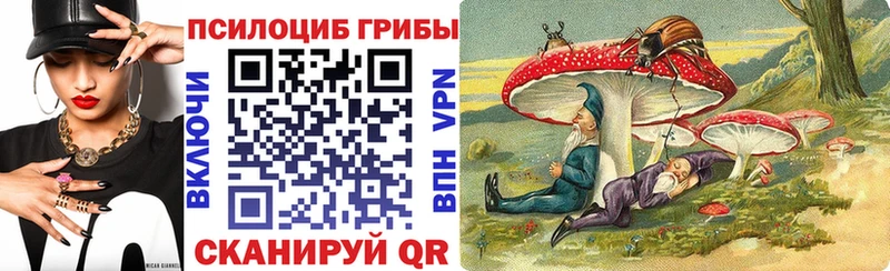 Псилоцибиновые грибы MAGIC MUSHROOMS  купить наркоту  Советский 